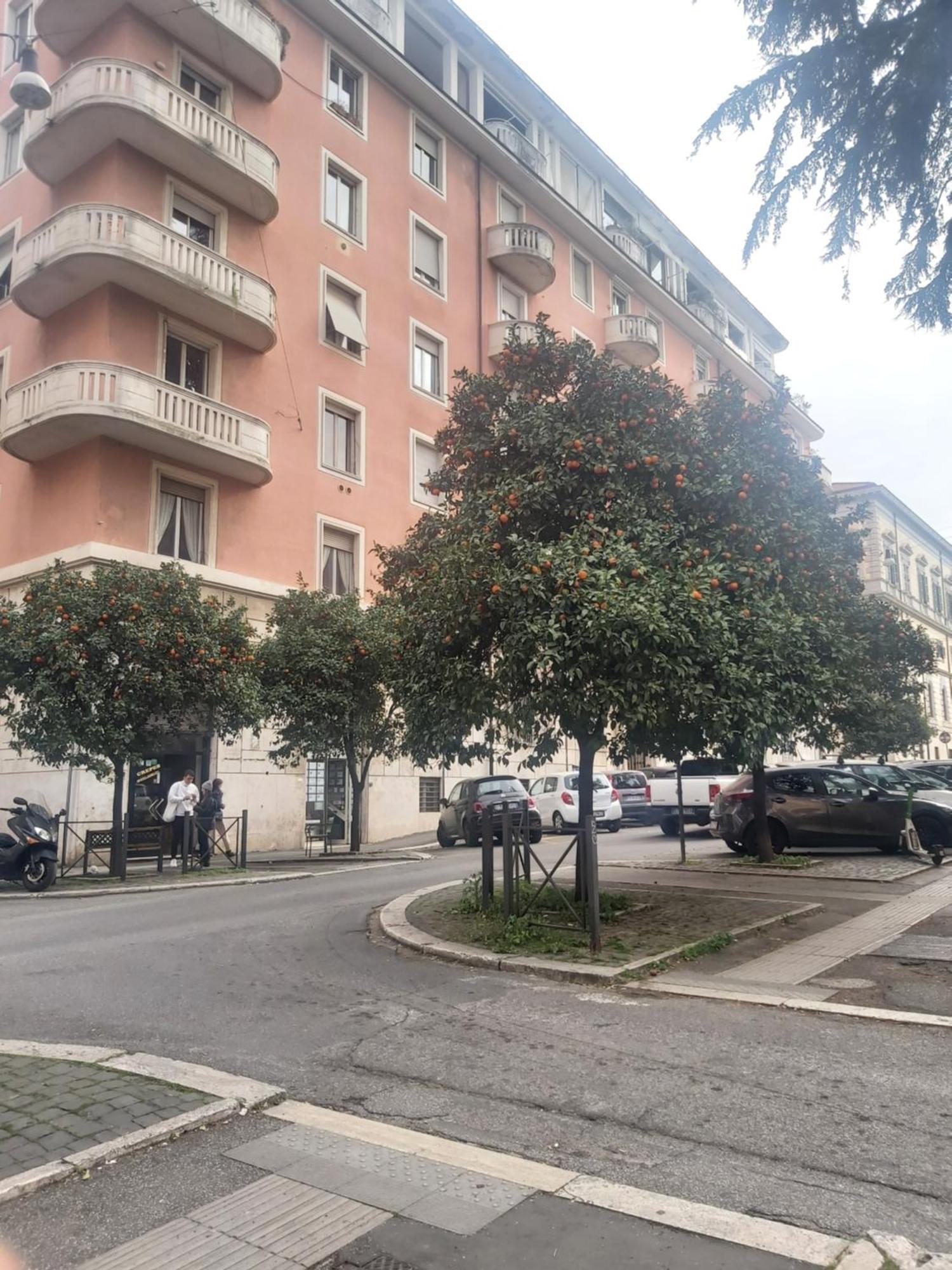 Holiday Colosseum Rome Bed and Breakfast Buitenkant foto